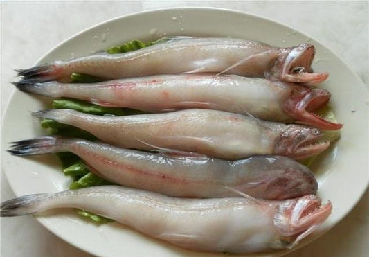 BOMBAY DUCK FISH CLEANED 2LBS