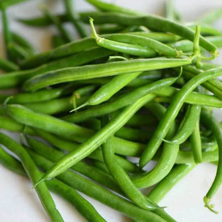 Green Beans Fresh