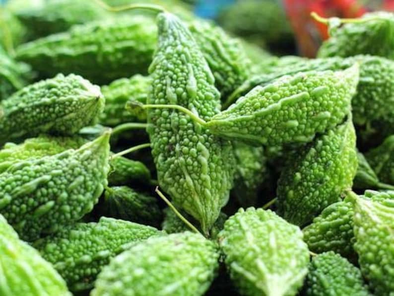 Indian Bitter Melon