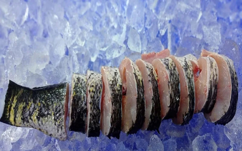 Fresh Indian Fish